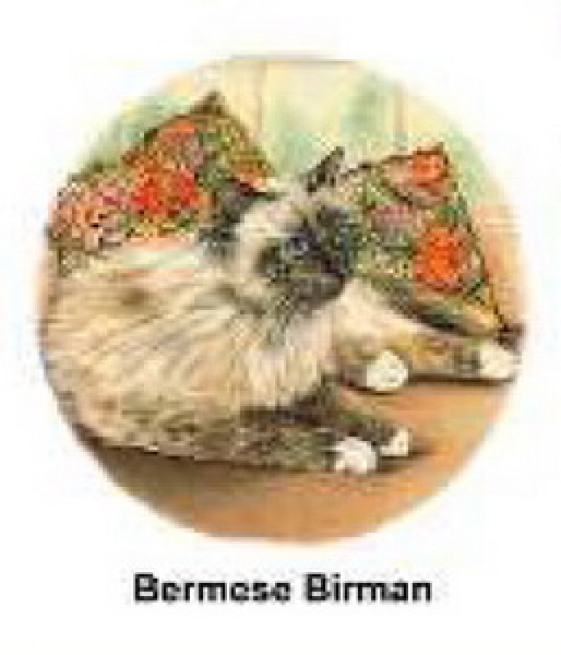 Decal – Katze – 75 mm