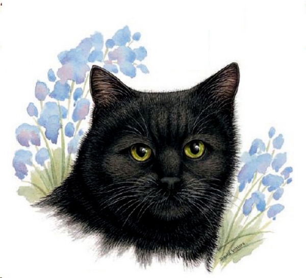 Decal – Katze – Black Cat – 40 mm