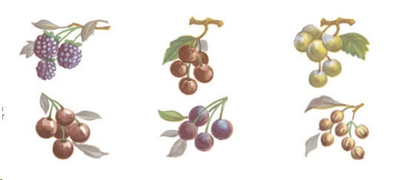 Decals – Obst – 6er-Set – je  22 x 20 mm