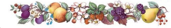 Decals – Obst – Borte – 20 x 135 mm