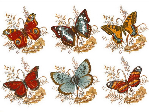 Decals – Schmetterlings-Szenen – 6er-Set – je 70 mm