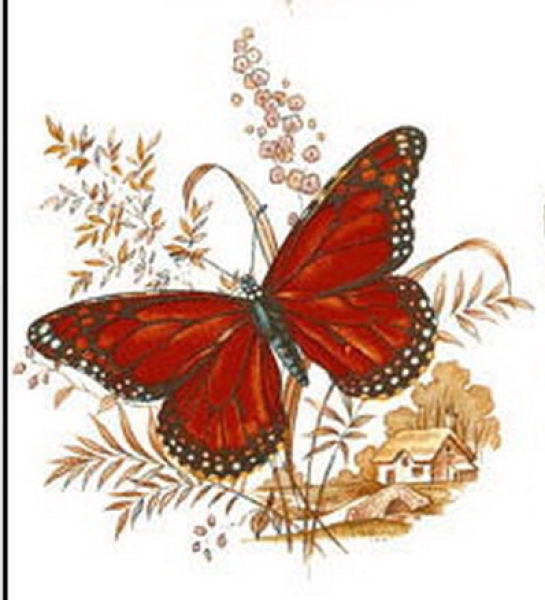 Decal – Schmetterlings-Szene – 70 mm