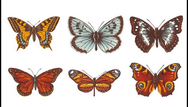 Decals – Schmetterlinge – 6er-Set – je 75 x 55 mm