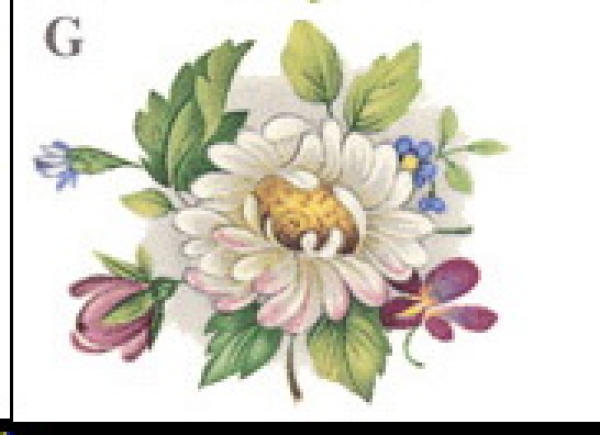 Decal – Blumen – Cottage Garden – 46 x 40 mm