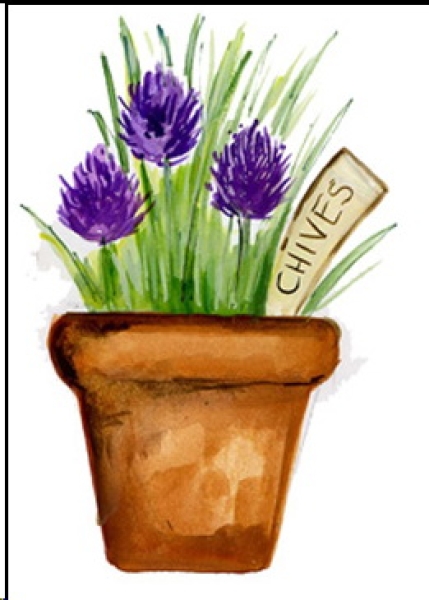 Decal – Schnittlauch – Garden Chives – 25 mm