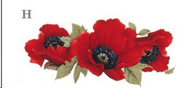Decal – Red Poppy – Klatschmohn – 68 x 33 mm