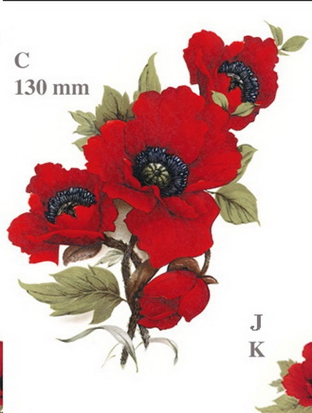 Decal – Red Poppy – Klatschmohn – 145 x 85 mm Decal – Red Poppy – Klatschmohn – 145 x 85 mm