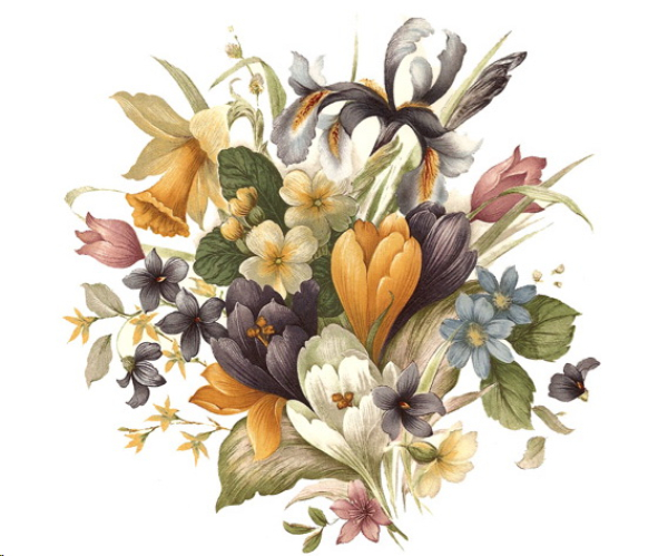 Decal – SPRING CROCUS – 40 mm
