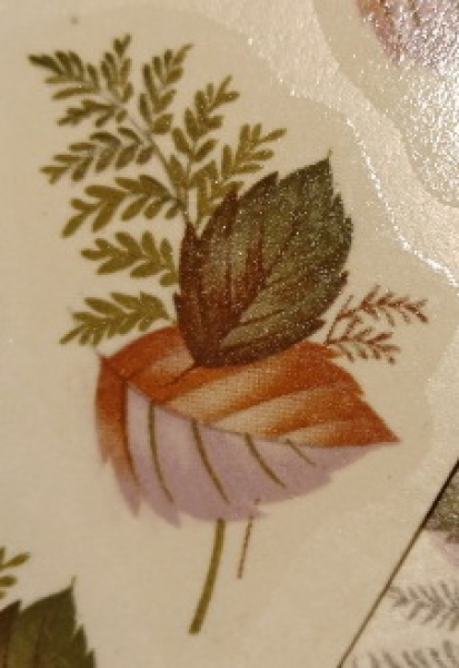 Farn - 38 x 20 mm - DISC