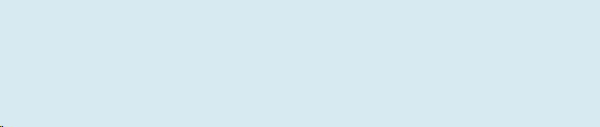Decal – Chintzabschnitt – Colour Sheet – Light Blue – 23 x 6,5 cm