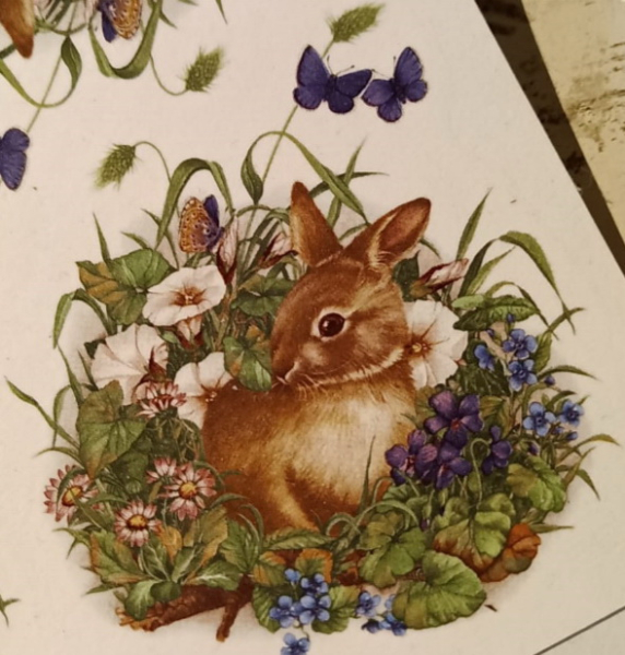 Decal – Rabbit / Kaninchen - 70 mm – DISC