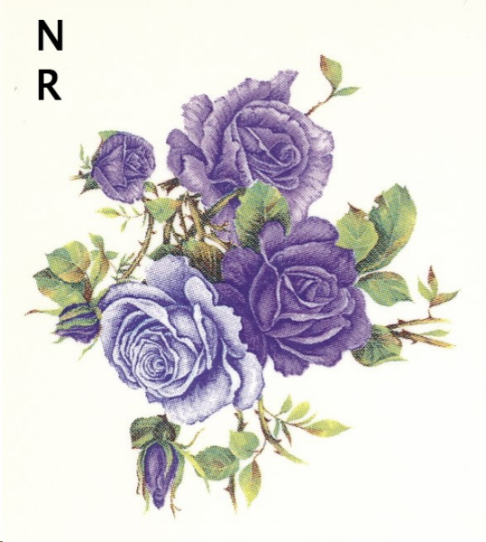 Decal – Rose Blue – blaue Rose – 50 mm