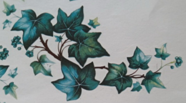 Decal – Efeuzweig – 16 x 8 cm - DISC