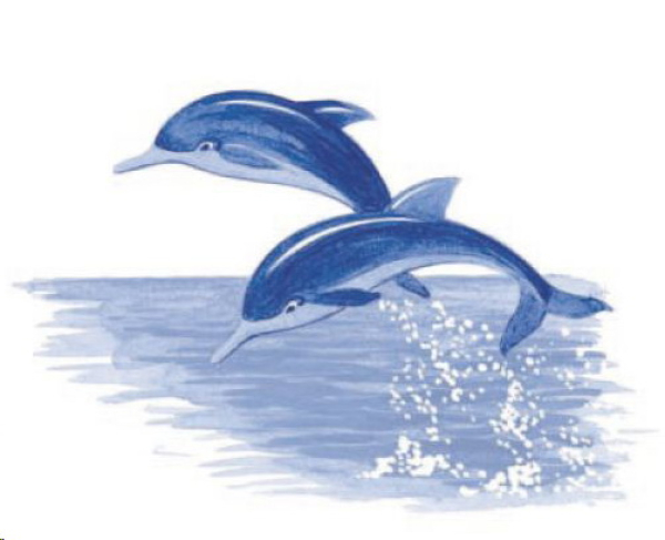 Decal – Blue Dolphins – Delfine - 65 x 100 mm – DISC