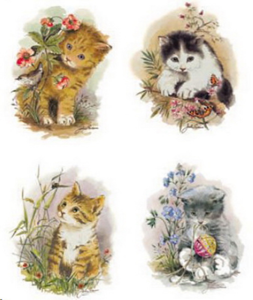 Decals im 4er-Set – Katzen – je 75 mm