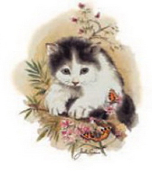 Decal – Katze – 75 mm