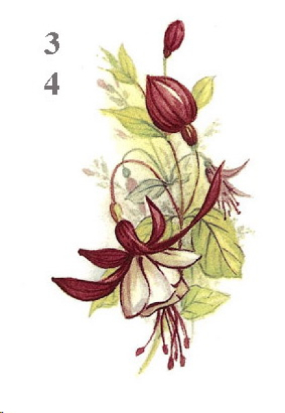 Decal – Flower of the Month – August – 70 x 40 cm