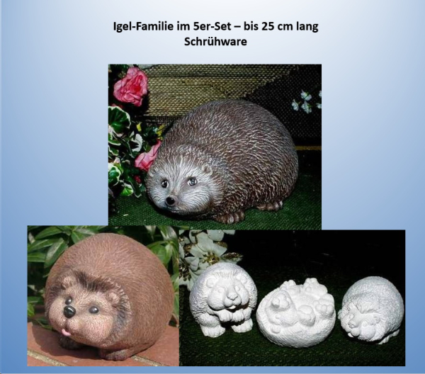 Igel-Familie im 5er-Set – bis 25 cm lang – Schrühware – statt 25,35 EUR