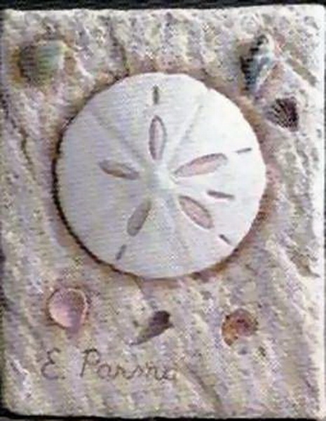 Wandkachel – Sanddollar – 23 x 15 cm – Schrühware