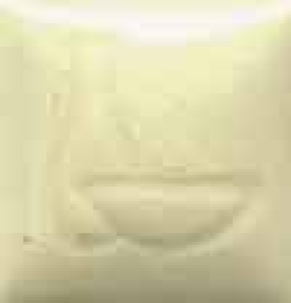 IN-1629 – Ivory Belleek  Cream – transparent – gloss – NONTOXIC – lebensmittelgeeignet – DUNCAN ENVISION GLAZE – 4oz = 118 ml