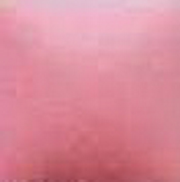 NT-026 – Pink Carnation – Kaltmalfarbe von DUNCAN – 29,5 ml – Altbestand