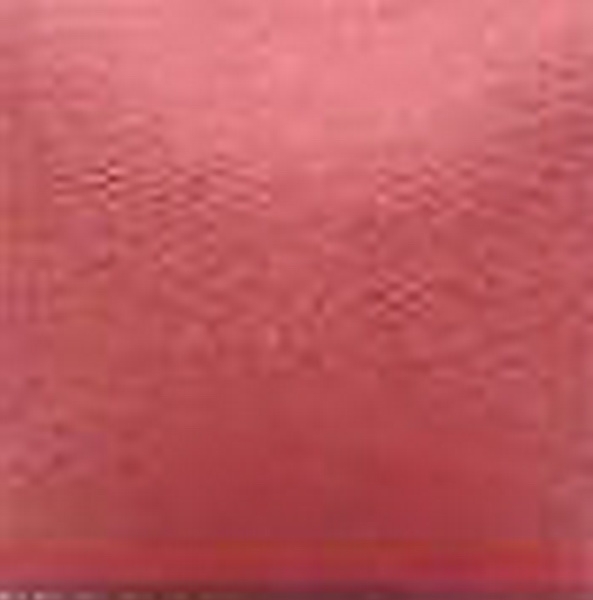 NT-037 – Ginger Rose – Kaltmalfarbe von DUNCAN – 29,5 ml – Altbestand