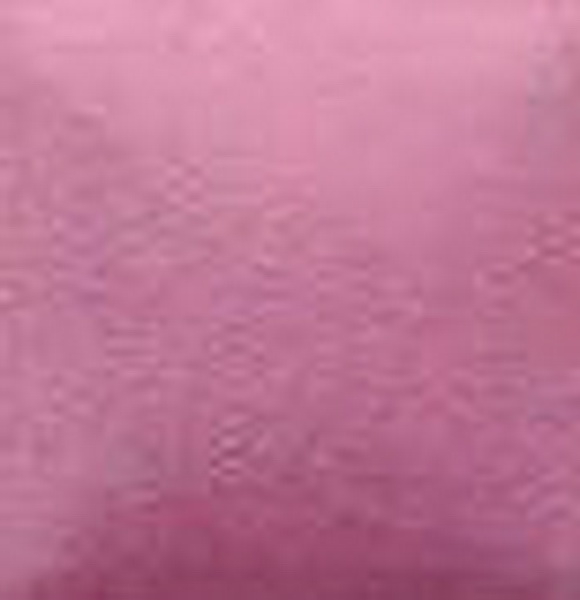 NT-066 – Just Rosy  – Kaltmalfarbe von DUNCAN – 29,5 ml – Altbestand