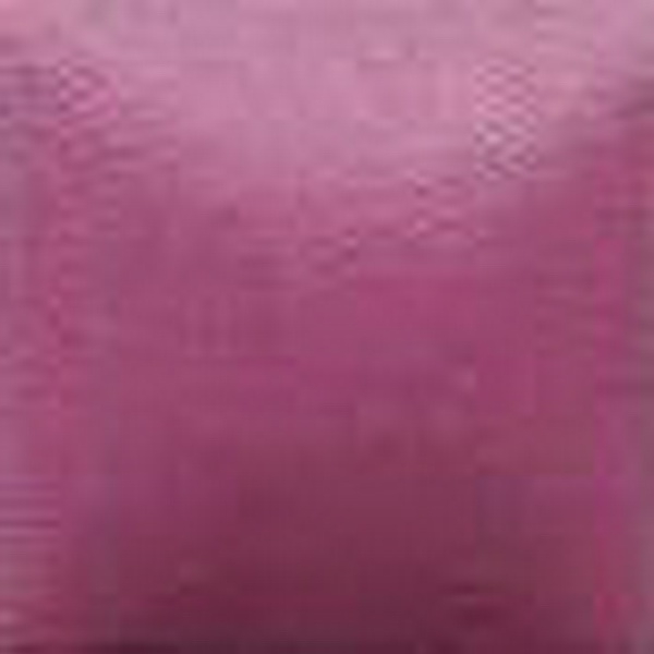 NT-067 – Gentle Rose – Kaltmalfarbe von DUNCAN – 29,5 ml – Altbestand