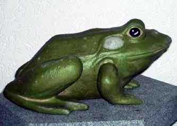 großer Frosch – 25 cm lang – Schrühware