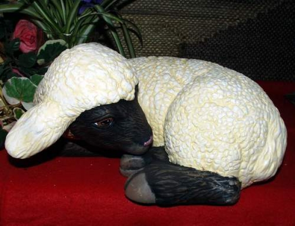 Lamm – Schaf – schlafend – 25 cm lang - Schrühware