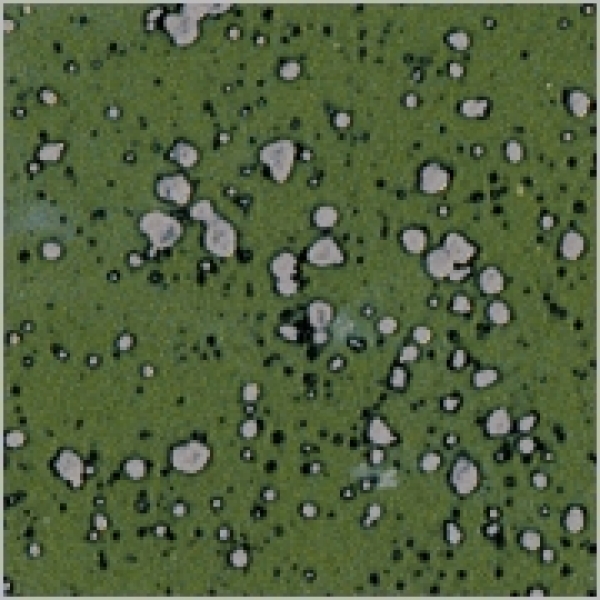 Irischgrün - 200 ml  - von BOTZ - DISC
