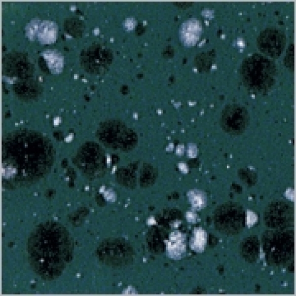 Efeu - 200 ml - von BOTZ