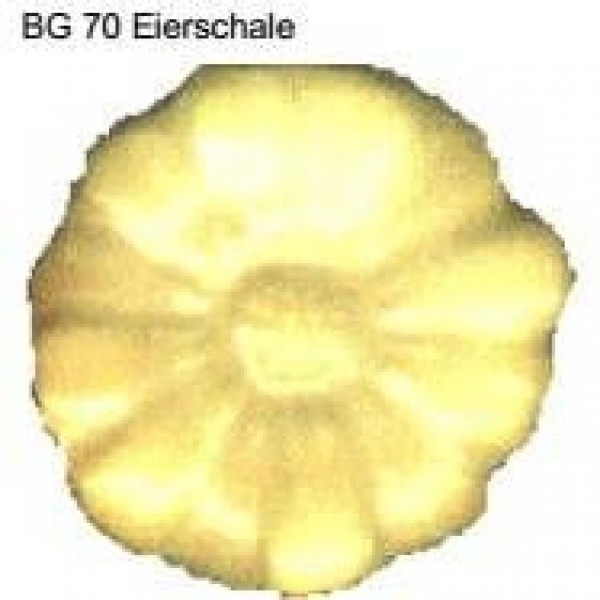 Butterfly-Glasur - 100 ml - BG-70 - eierschale