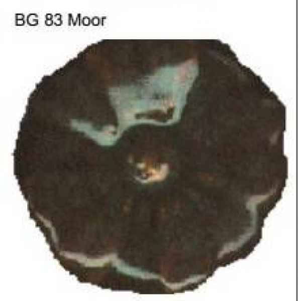 Butterfly-Exotic-Glasur - 100 ml - BG-83 - moor
