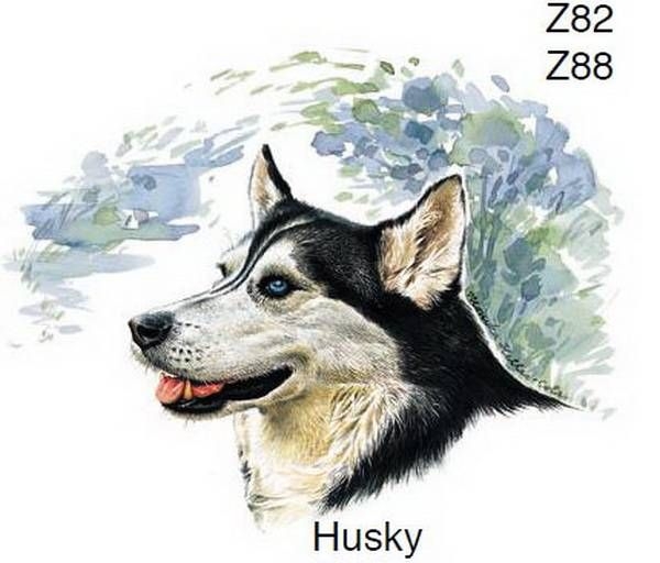 Keramik-Tasse  - Becher mit Wunschname – Motiv: 1 x Hund – Husky