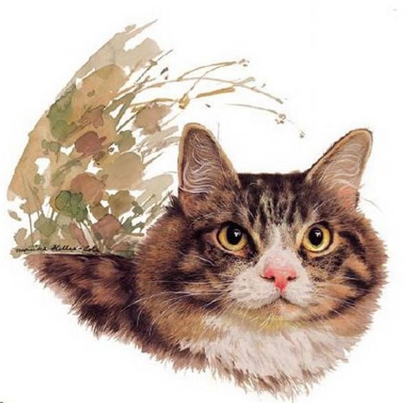 Decal – Katze – Tabby – 80 mm