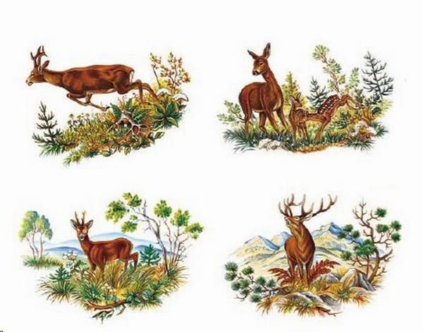 Decal - Waldtiere – Rehwild - je 65 x 45 mm im 4er-Satz