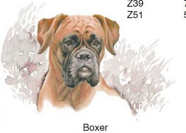 Decal - Hund - Boxer - 75 mm