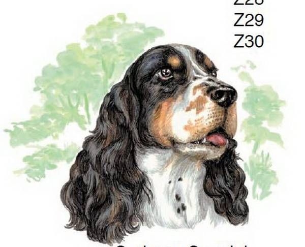 Keramik-Tasse - Becher mit Wunschname – Motiv: 1 x Hund / Springer Spaniel