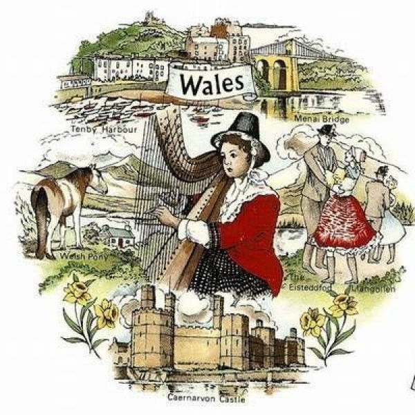 Decal - WALES – 60mm