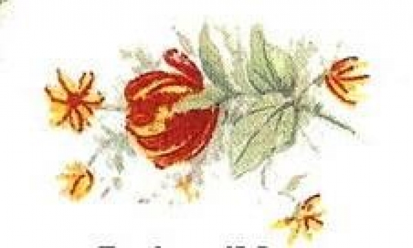Decal – NOVEMBER-6 27x19MM