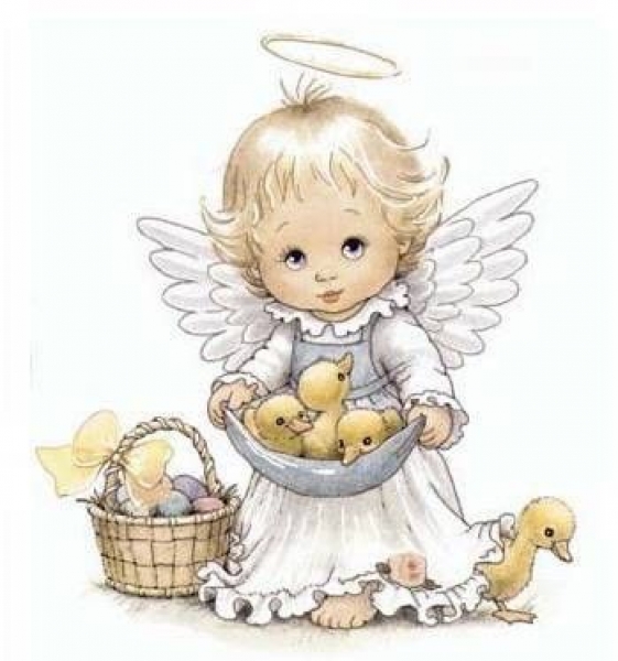 Decal - ANGELI – 75mm – B