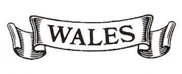 Decal - WALES - 41 mm