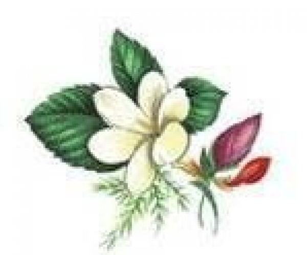 Decal - ANNIVERSARY 50MM