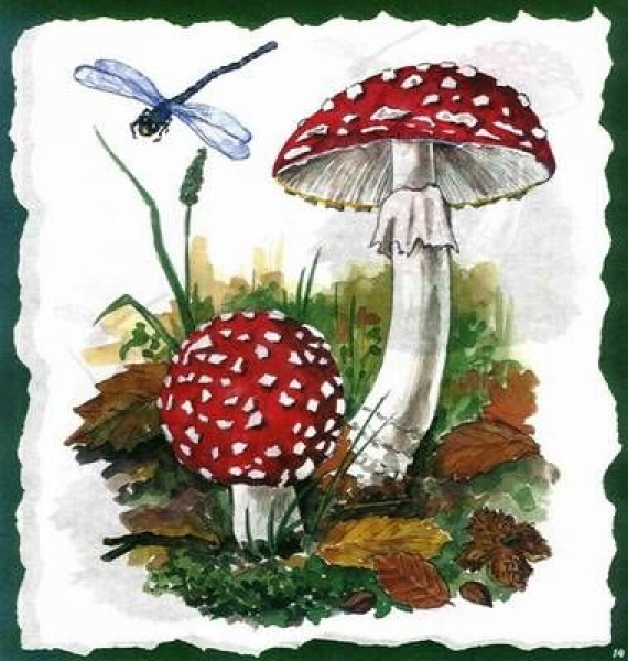 10 Bögen je 17 x 37,5 cm - VLOEI-Dekormotiv 14 - Fliegenpilz