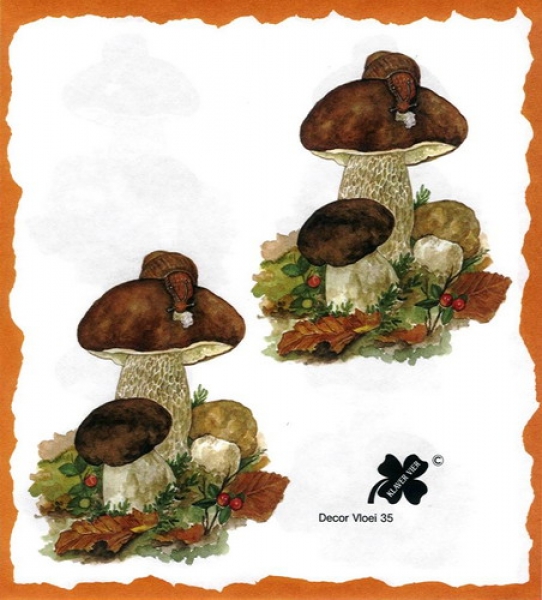 10 Bögen je 17 x 37,5 cm - VLOEI-Dekormotiv 35 - Steinpilze