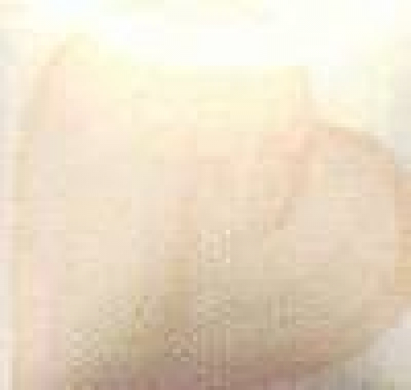 EZ Stroke - beige - 29,5 ml - Unterglasurfarbe von DUNCAN / MAYCO