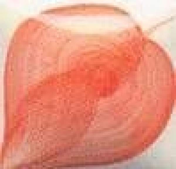 EZ Stroke - Coral Red - 29,5 ml - Unterglasurfarbe von DUNCAN