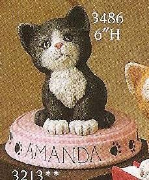 Katze auf Basis – Schrühware