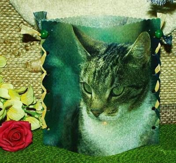 Folienwindlicht für Teelicht – Katze